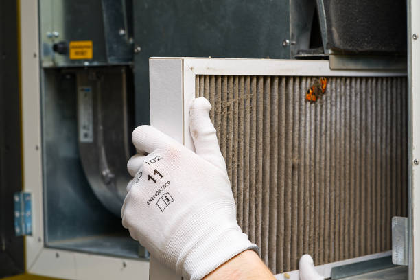 Best Air Duct Sanitizing Services  in Hden Springs, ID
